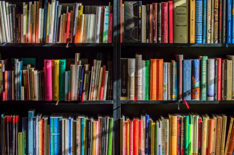 Библиотеки ЗАО заняли второе место по числу бронирований литературы