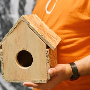 Школьники Западного округа активно участвуют в экологической акции «Накорми птицу»