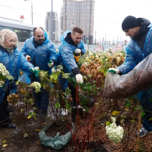 Цветам — вторая жизнь. Городская акция прошла в ЗАО