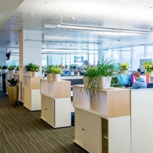 Помещение для бизнеса рядом со станцией метро «Говорово» выставлено на торги