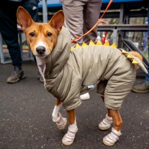 Сначала потоп, потом каток: москвичей ждет неделя «барической пилы» и погодных аномалий