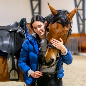 Не только подкова на счастье. Чего ждать от символа 2026 года и сколько стоит дружба со скакуном