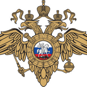 Полицейские района Дорогомилово задержали подозреваемого в краже смартфона из припаркованной иномарки