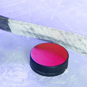 Звезды хоккея проведут мастер-класс на катке имени Валерия Харламова 5 декабря