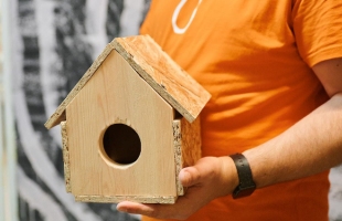 Школьники Западного округа активно участвуют в экологической акции «Накорми птицу»