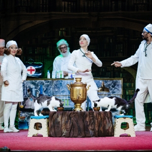 Заботимся о питомцах: образовательный проект запустили в Театре кошек