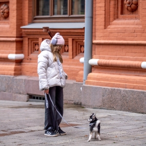 Декабрь без снега: Москва встречает календарную зиму в режиме «плюс»