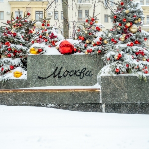 Белое безмолвие столицы: Западный округ встречает середину января