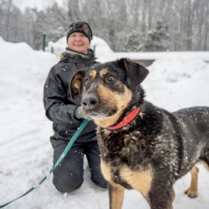 Мокрый нос, честный взгляд: как живут и чего ждут собаки в приюте на западе Москвы