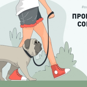 Пропала собака