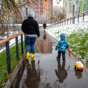 Больше света и новые тропы: чем удивил «Пионерский» после реконструкции