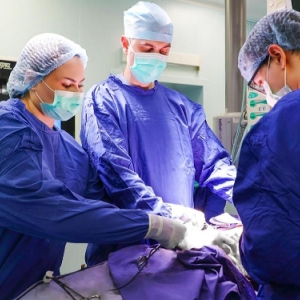 Собянин: объем операций по трансплантации за пять лет вырос более чем вдвое