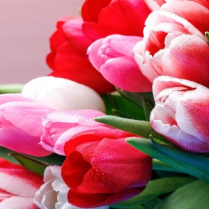 В технопарке «Сколково» 5 марта отметят Международный женский день