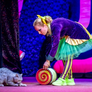 Хвостатый маскарад: в Театре кошек Куклачева состоялась премьера