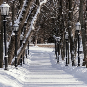 Экскурсии по району Дорогомилово организует Фонд капитального ремонта