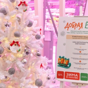 Благотворительная акция «Добрая елка» поможет порадовать детей участников СВО