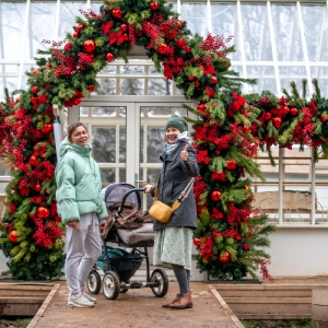 Зеленый оазис среди сугробов: проект «Сады и огороды» перешел на зимний режим