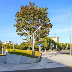 Мэр Москвы рассказал о благоустройстве территории около транспортных объектов