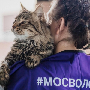 На западе Москвы открыт сбор помощи для животных из приютов Белгородской области