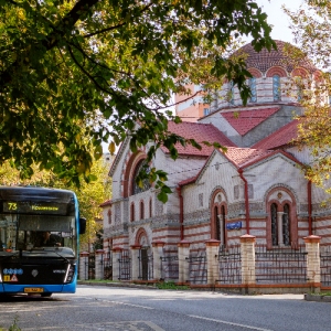 «Стояла темных лип аллея»: в парке «Фили» обнаружен променад ХIХ века