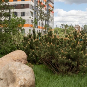 В районах Филевский Парк и Дорогомилово появятся новые благоустроенные общественные зоны