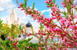 Священнослужители Западного викариатства побывали на экскурсии в Московской городской думе