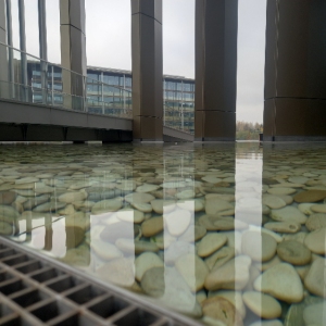 Оазис среди небоскребов: в Можайском районе появился новый парк с озером