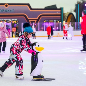В разных районах столицы будет открыто 26 катков «Московских сезонов» — Сергунина