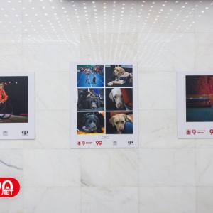 На эскалаторной галерее станции метро «Воробьевы горы» открылась фотовыставка «Без барьеров»