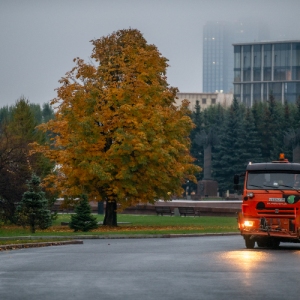 Прощанье с теплой осенью: какая погода ждет москвичей на стыке октября и ноября
