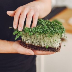 Продукты для постного рациона предлагают на ярмарке в Можайском районе