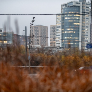 Зима отменяется? Синоптики рассказали, какая погода ждет москвичей с 3 по 9 ноября