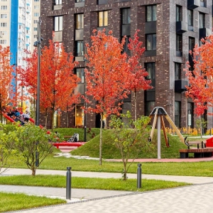 В ЗАО на средства от платных парковок улучшили 162 дворовые территории