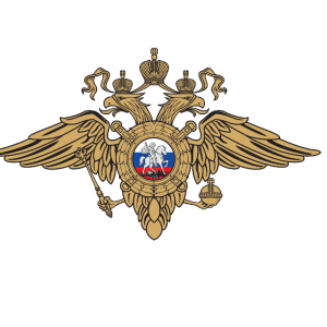 Оперативниками Управления собственной безопасности ГУ МВД России по г. Москве задержан подозреваемый в распространении заведомо ложных сведений
