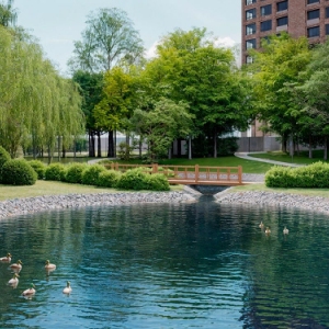 На западе Москвы приступили к реабилитации Кунцевских прудов