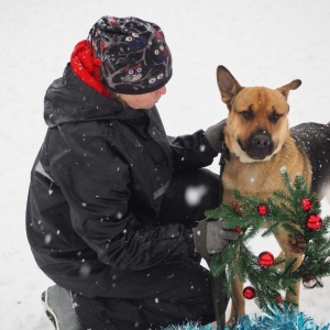 Елка хвостатых желаний: муниципальный приют «Солнцево» проведет день открытых дверей