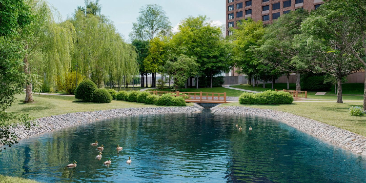 На западе Москвы приступили к реабилитации Кунцевских прудов