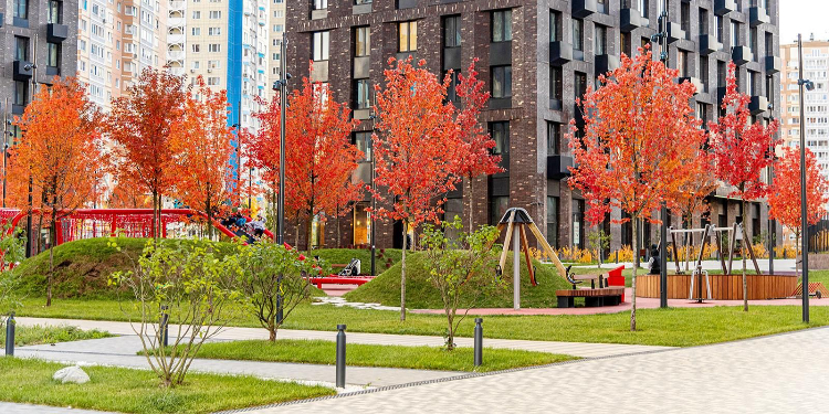 В ЗАО на средства от платных парковок улучшили 162 дворовые территории