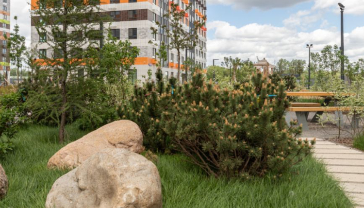 В районах Филевский Парк и Дорогомилово появятся новые благоустроенные общественные зоны