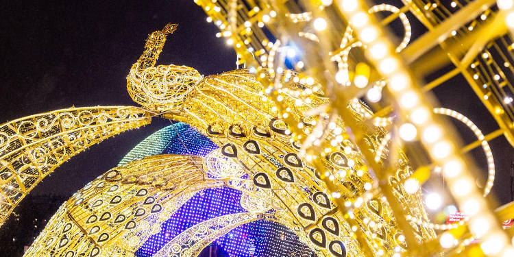 В Западном округе устанавливают новогодние световые инсталляции