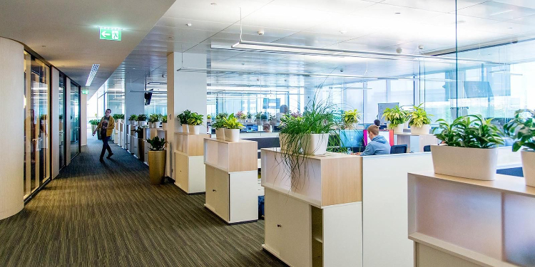 Помещение для бизнеса рядом со станцией метро «Говорово» выставлено на торги