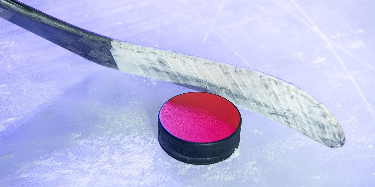 Московский турнир по адаптивному хоккею «Вызов Арктики» проведут в Ново-Переделкине