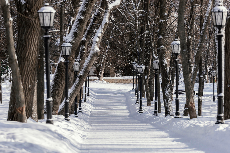 Экскурсии по району Дорогомилово организует Фонд капитального ремонта