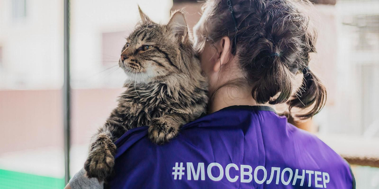 На западе Москвы открыт сбор помощи для животных из приютов Белгородской области