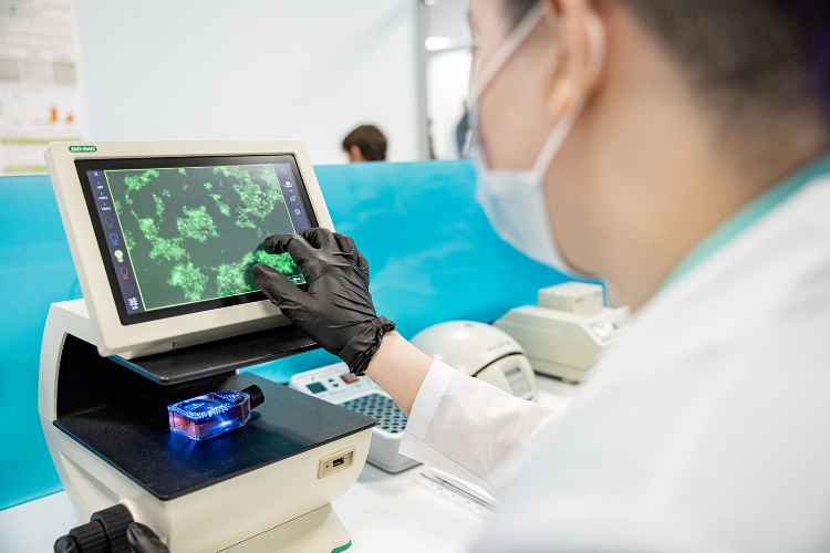 Сергей Собянин рассказал о разработке новых медицинских технологий в Москве