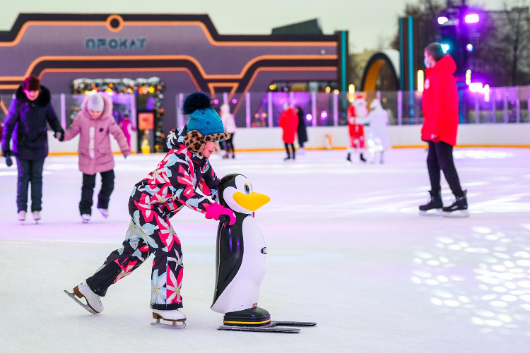 В разных районах столицы будет открыто 26 катков «Московских сезонов» — Сергунина