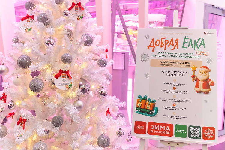 Благотворительная акция «Добрая елка» поможет порадовать детей участников СВО