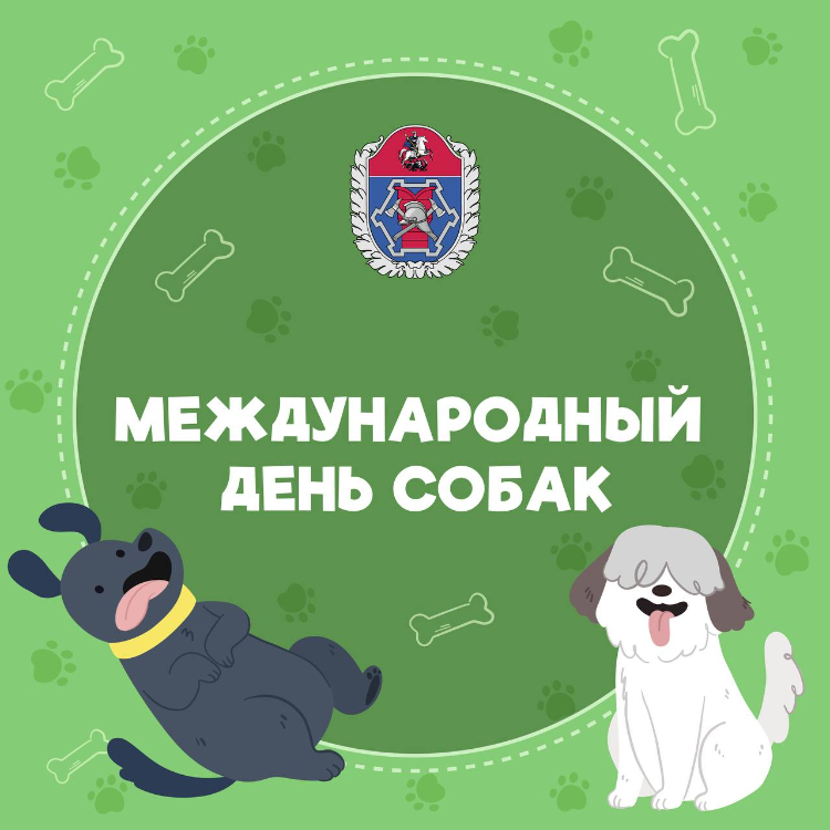 В ГОЧСиПБ отметили Международный День собак