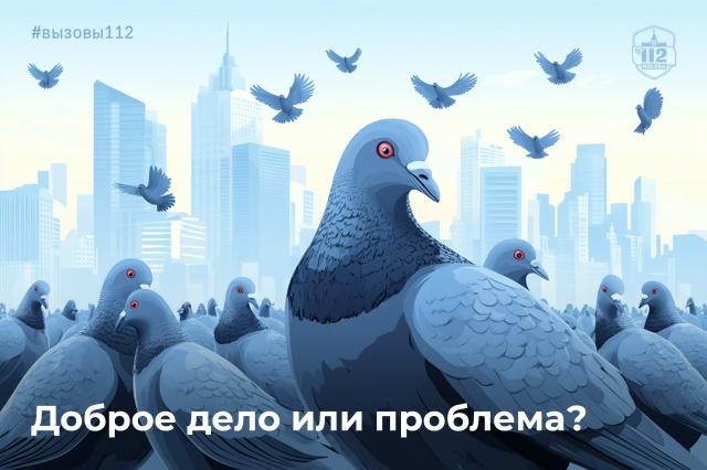 В Службу 112 Москвы часто поступают звонки с жалобами на пернатых