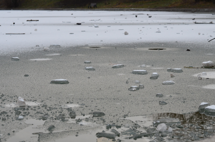 В Западном округе Москвы усилили безопасность на водоёмах: установлены знаки «Выход на лёд запрещён!»